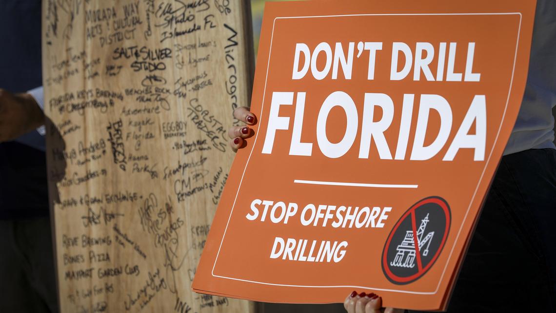 Environmental groups sue over drilling carve-out for Gulf wildlife protections 