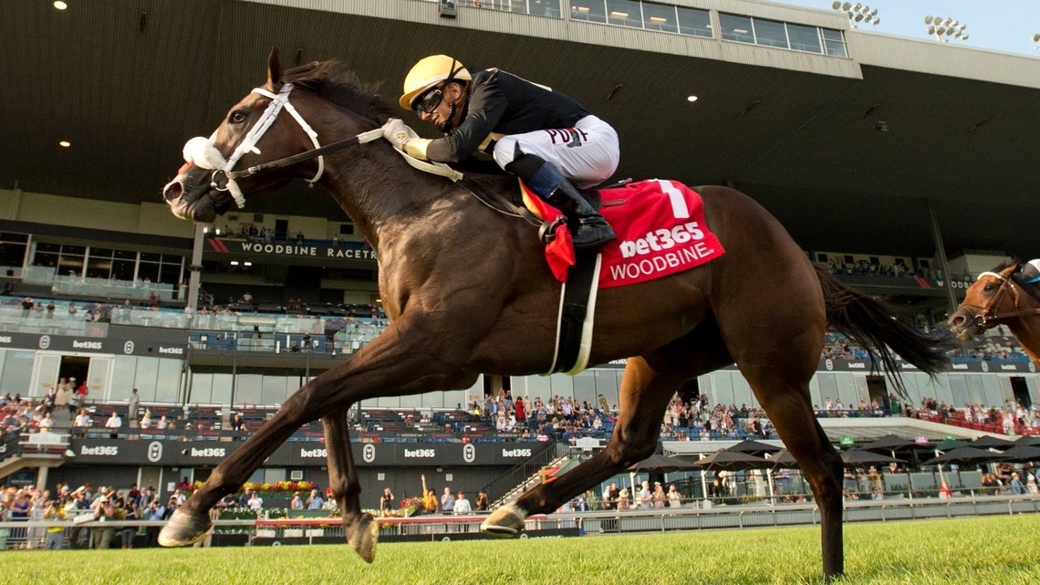 G1-Placed Two Out Hero Headlines Inaugural Bricks And Mortar Stakes 