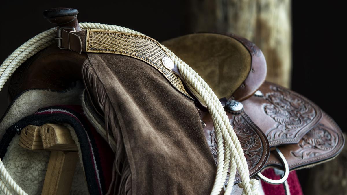 Top Hand Cowgirl Challenge is a combination women’s retreat and hands-on Western horsemanship clinic. (Dreamstime/TNS)