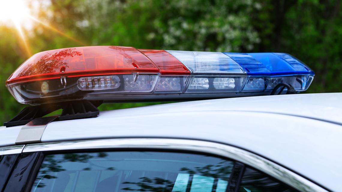 Easter egg hunters reportedly come across possible human skull in Long Beach 