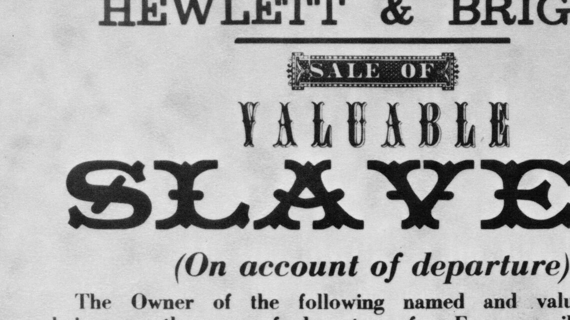 American slavery wasn't just a white man's business − white women profited, too 