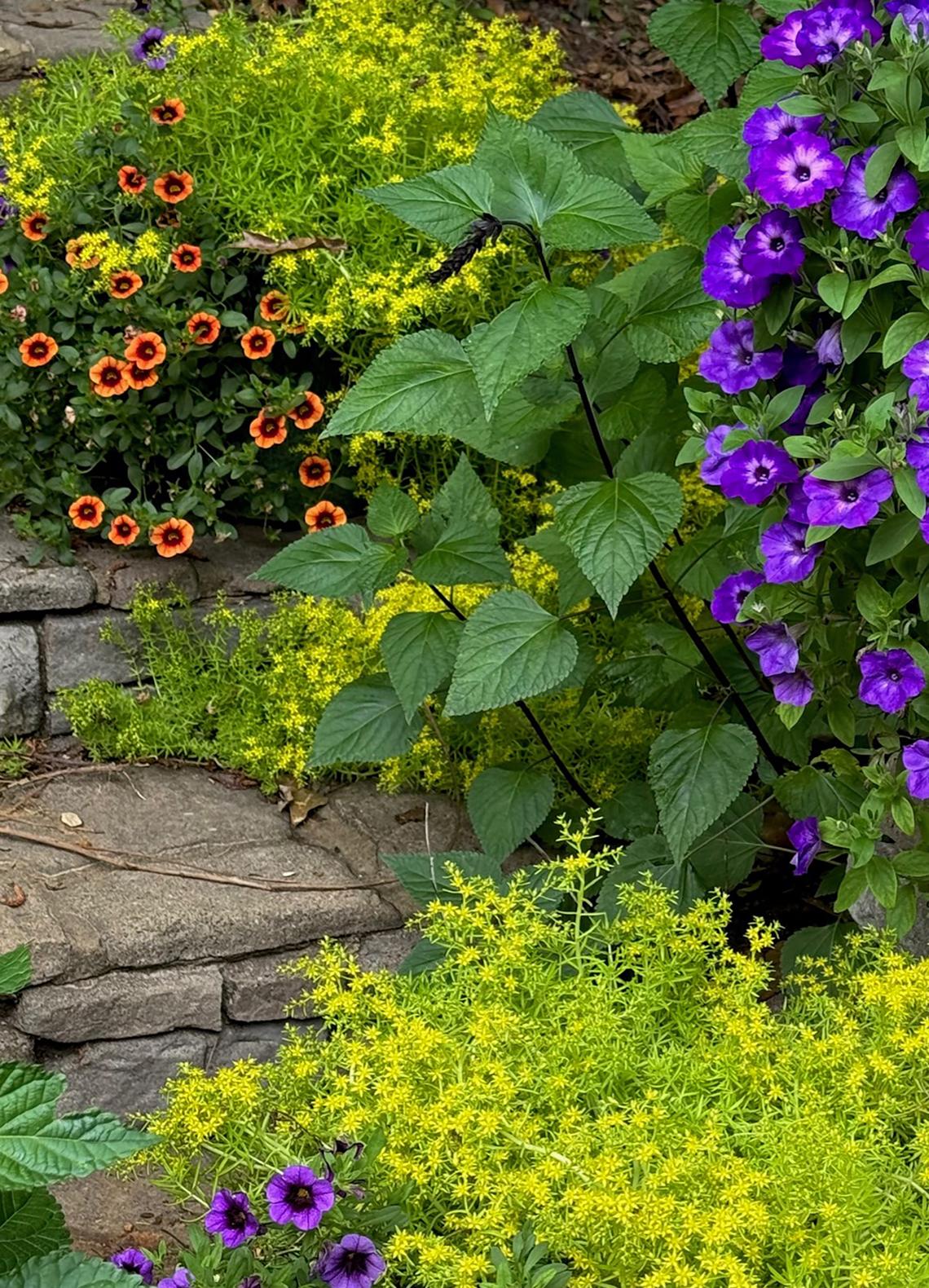 Norman Winter/Norman Winter/TNS