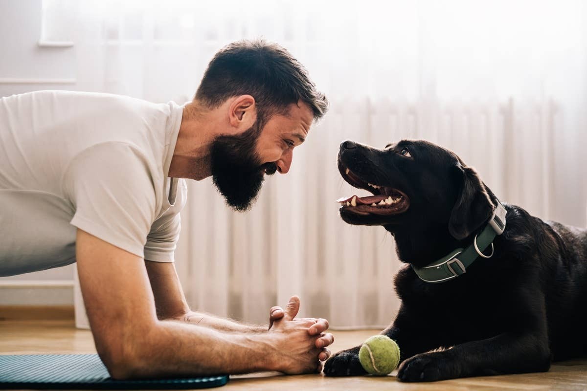  A dog expressng love by givng its dog dad a toy.