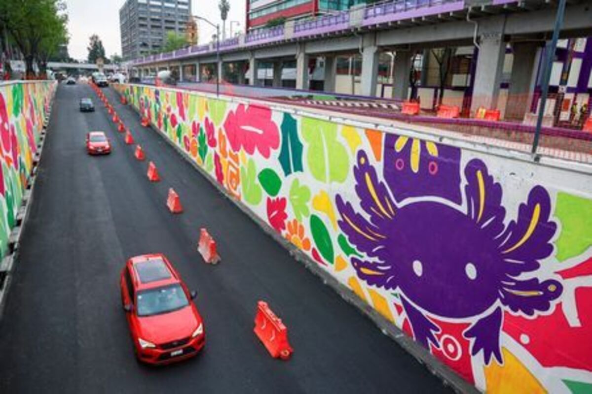 Vehicles pass through an underpass featuring an image of the critically endangered axolotl, a salamander native to central Mexico's lakes, as its use in public imagery ahead of the FIFA World Cup 2026 has divided residents who say more should be done to protect its habitat, in Mexico City, Mexico, May 19, 2026. REUTERS/Raquel Cunha