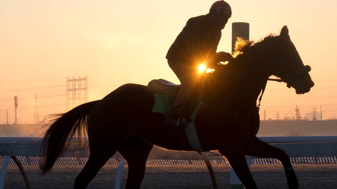 Study: Four Weeks Of Light Training May Offer Similar Benefits To A Layoff 