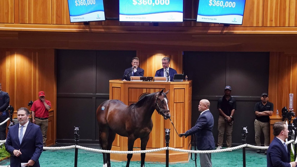 Cody's Wish Colt Tops First Session Of Fasig-Tipton New York-Bred Sale 