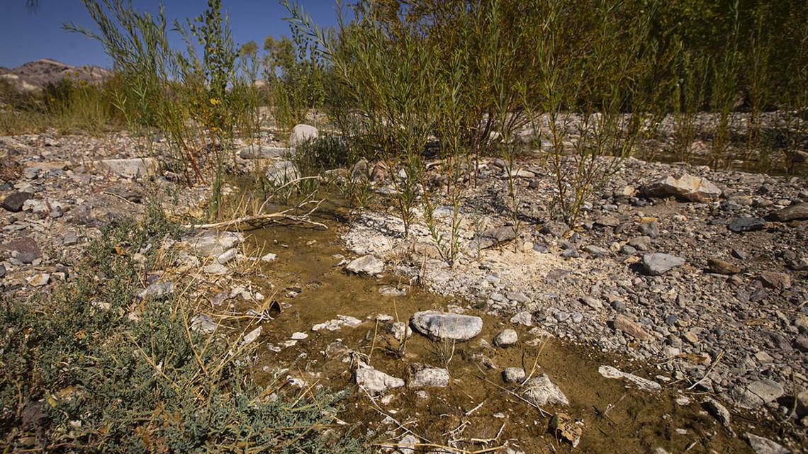 Dried up areas of the Amargosa River are seen in an area called "The Narrows" in Beatty, Nevada, on Sept. 17, 2025. (Chase Stevens/Las Vegas Review-Journal/TNS)