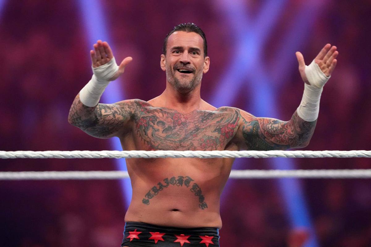  Jan 27, 2024; St. Petersburg, FL, USA; CM Punk reacts during the Men's Royal Rumble match at Tropicana Field. Mandatory Credit: Joe Camporeale-USA TODAY Sports 