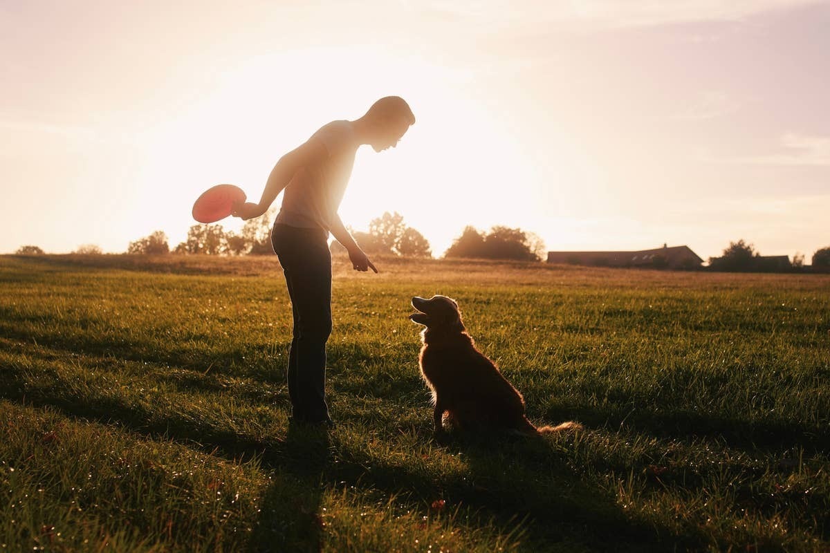  A dog owner using positive training to show love.