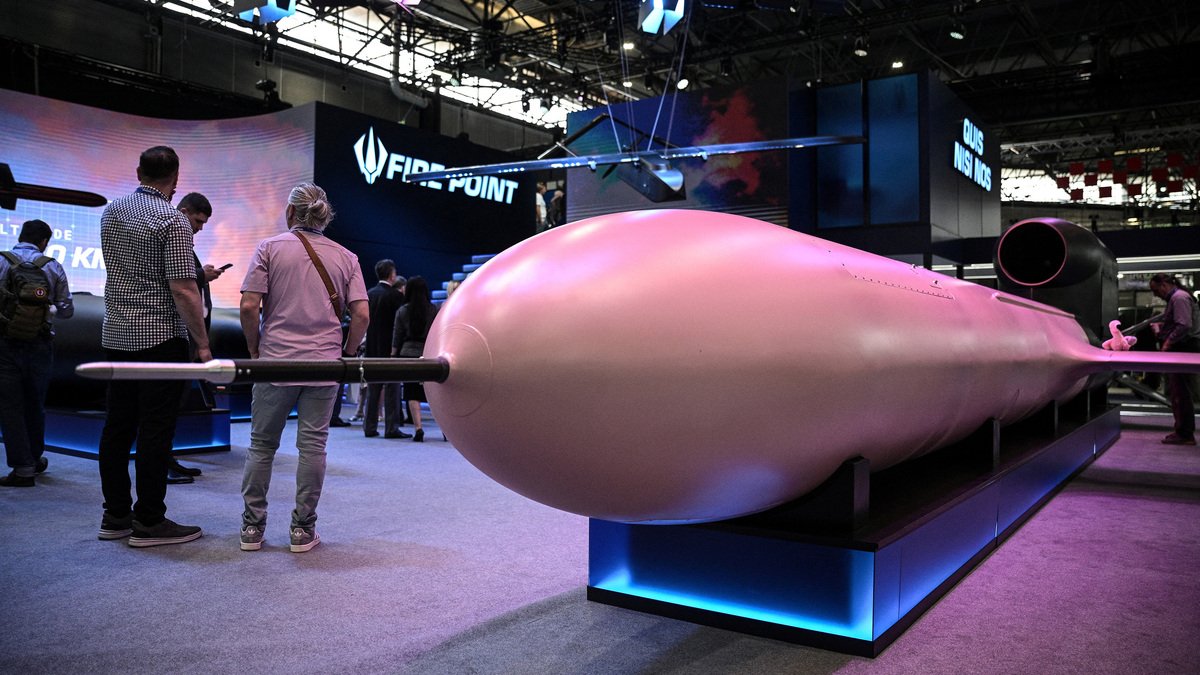 A FP-5 Flamingo cruise missile and a drone FP-1 from Ukrainian defense technology company Fire Point are shown on display at Eurosatory, a land and air land defense and security trade fair, in Villepinte on the outskirts of Paris, on June 16, 2026. (Julien de Rosa/AFP/Getty Images/TNS)