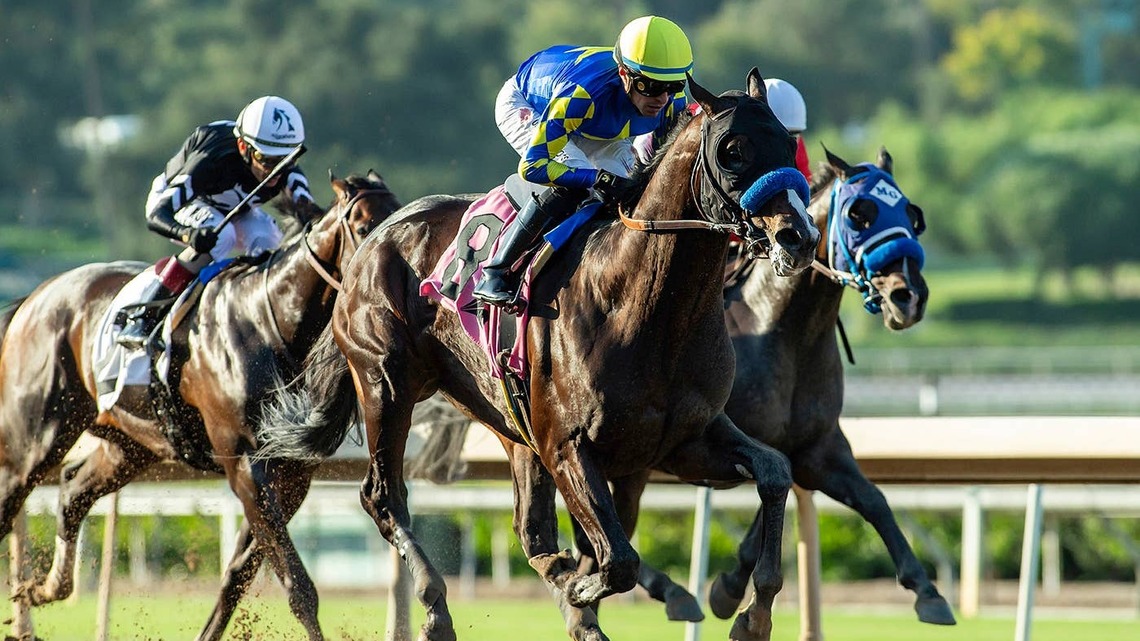 Imagination Returns To California To Defend Santa Anita Sprint Championship Title 