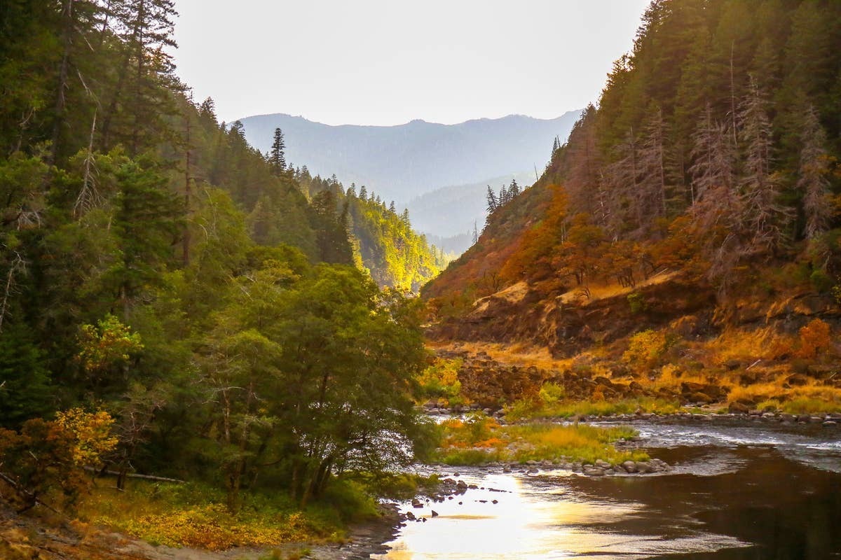  Oregon rivers can attract snakes.