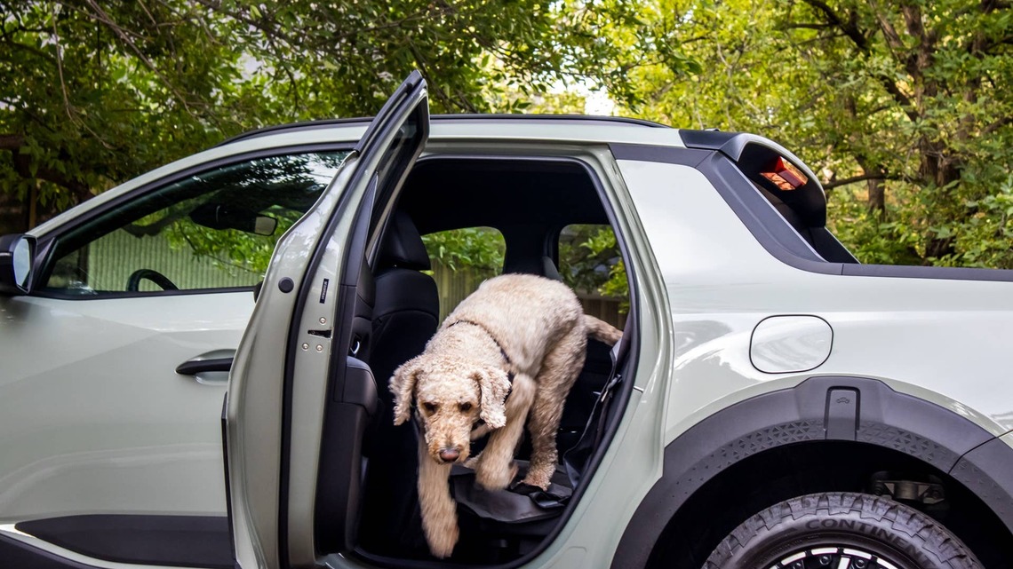 2026 Hyundai Santa Cruz Dog Review: A Small Truck With Big Potential