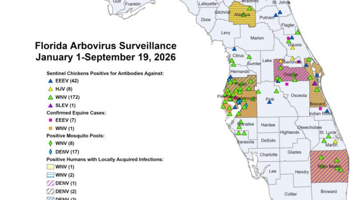 Florida dengue fever outbreak reaches 190 cases. Where it is spreading