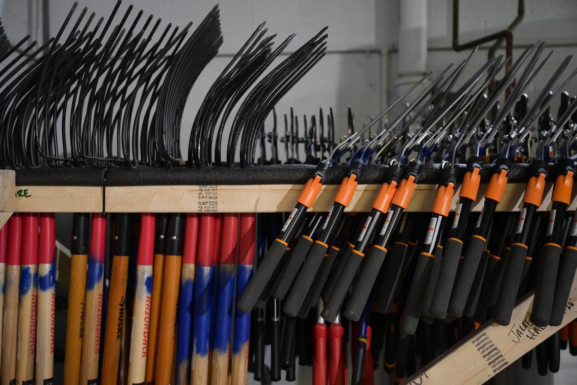 Courtesy Ford Motor Company/TNS/TNS