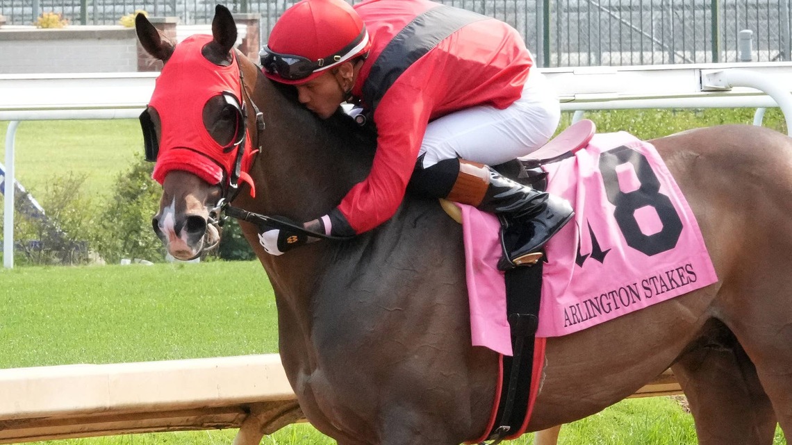 Mercante Tries To End Eight-Race Losing Streak In Tapit Stakes 