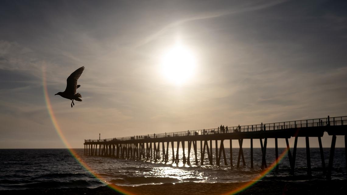 The ocean off California keeps breaking heat records 