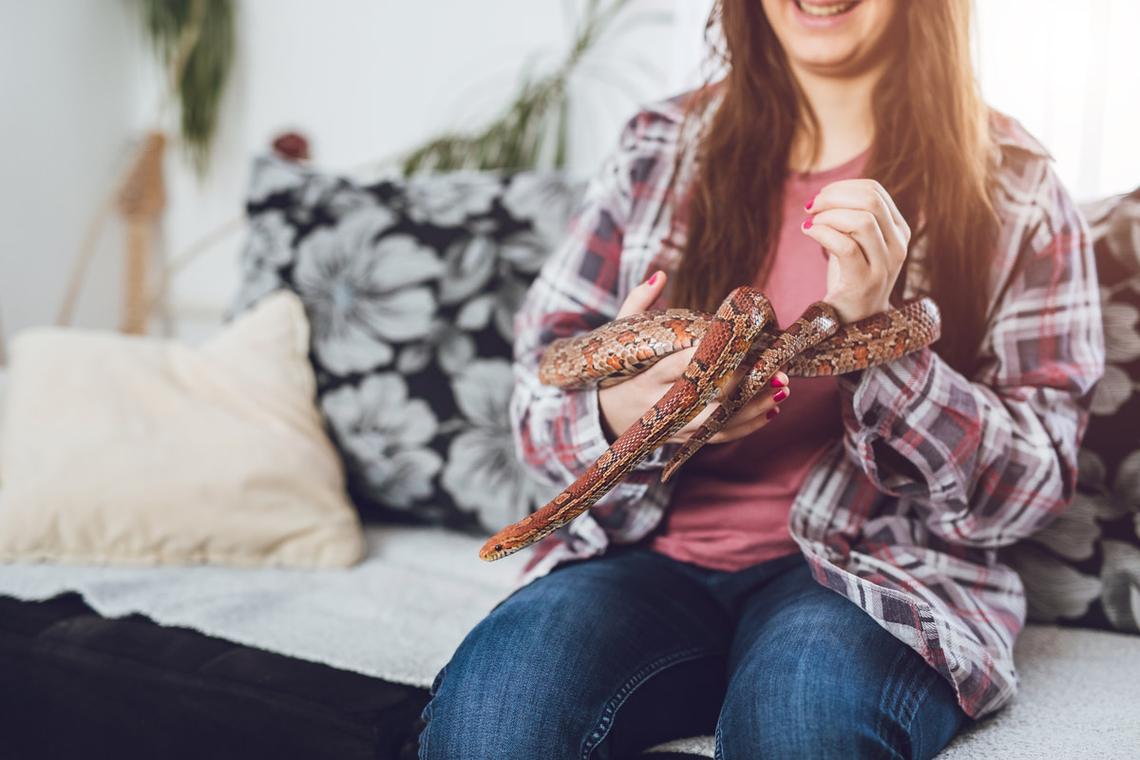 A woman hanging out with her pet corn snake.