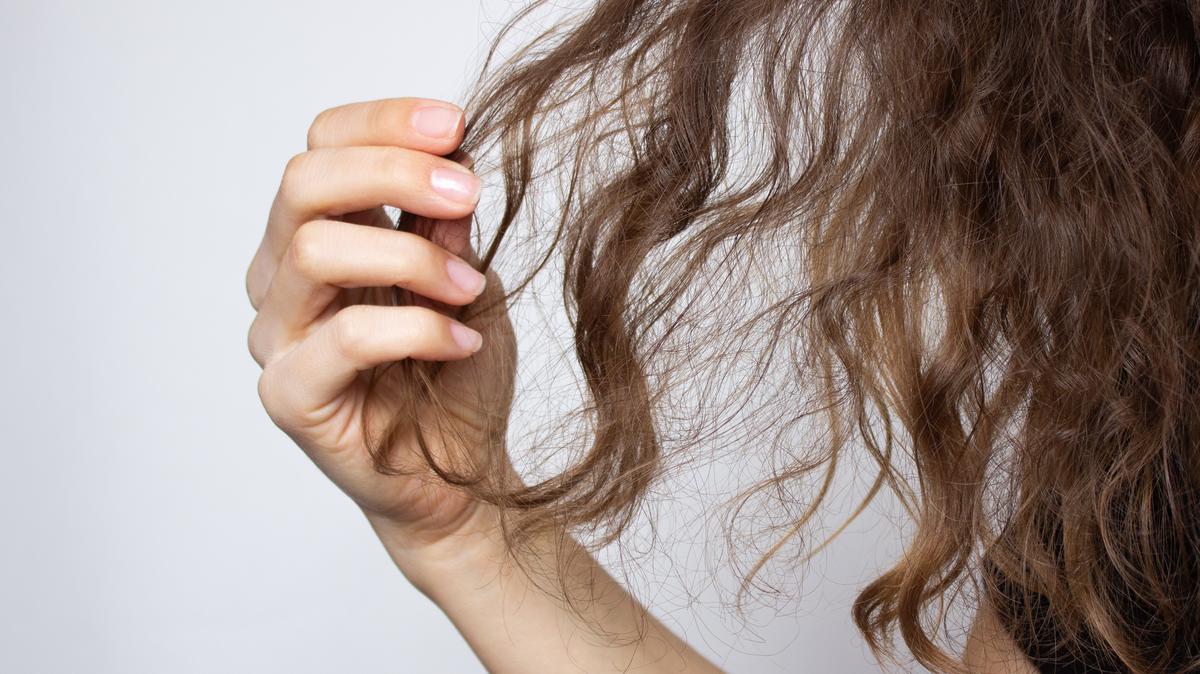 A stock image of a woman holding tangled dry hair in hand. 
