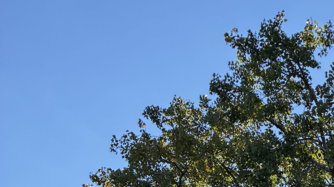 Metro Detroit forecast calls for warm start to week, then temps fall