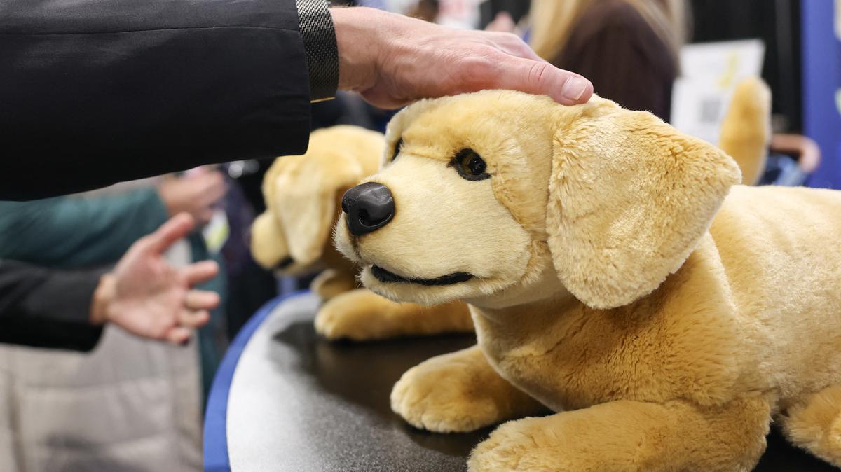 The Tombot Inc. hyper-realistic autonomous dog robot companion for the elderly and those unable to have a living pet dog is demonstrated during CES Unveiled ahead of the Consumer Electronics Show (CES) in Las Vegas, on Jan. 4, 2026. (Patrick T. Fallon/AFP/Getty Images/TNS)