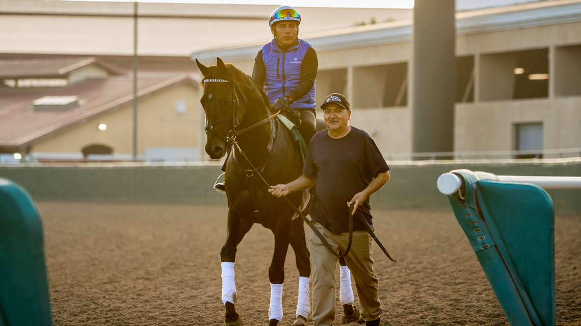 ‘It's A New Challenge': Knightsbridge Stretches Out In Pacific Classic 