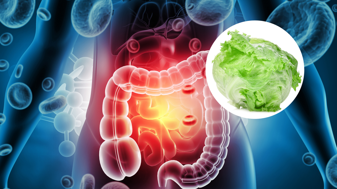 Which Lettuce To Buy, Avoid as FDA Investigates New Cyclospora Outbreak 
