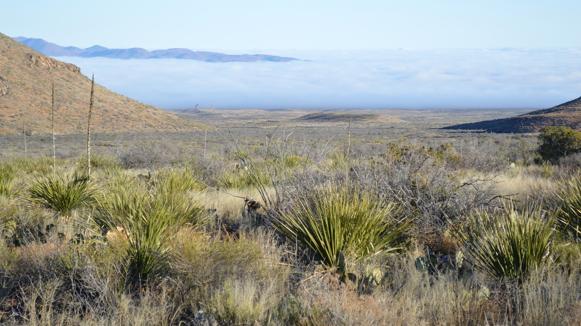 Bulldozers clearing land in Texas' Big Bend National Park for roads, border barriers 