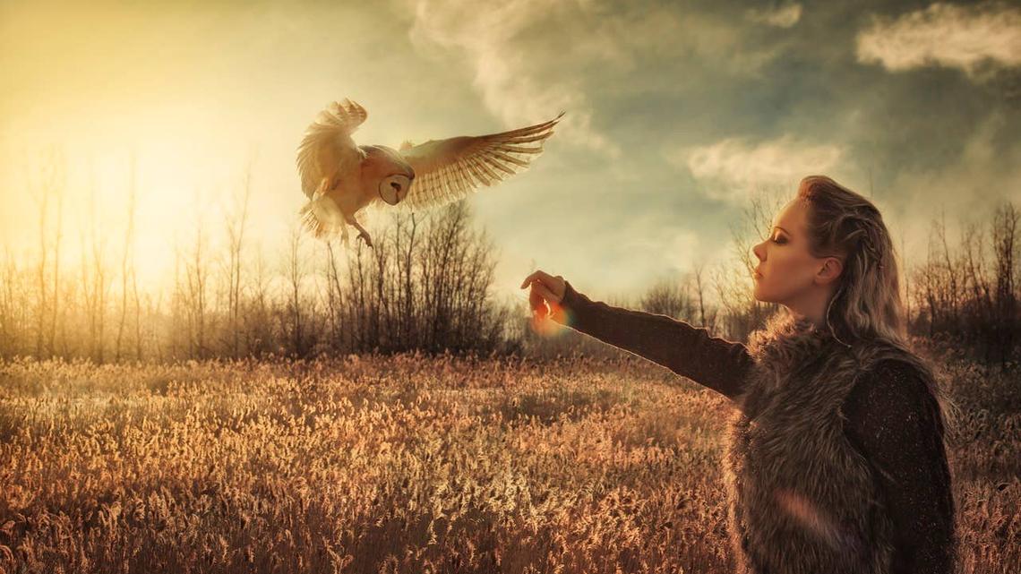 A wise owl thinking about life.