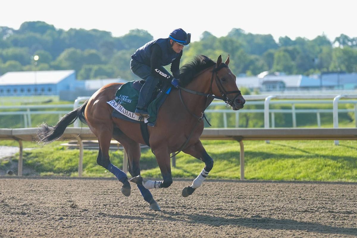  Preakness Stakes entry, Taj Mahal trains during morning workouts at Laurel Park Gregory Fisher-Imagn Images