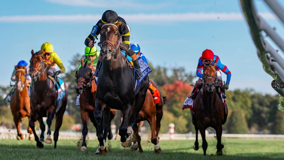 Rhetorical Back In The 'Zone' For Turf Mile Repeat 