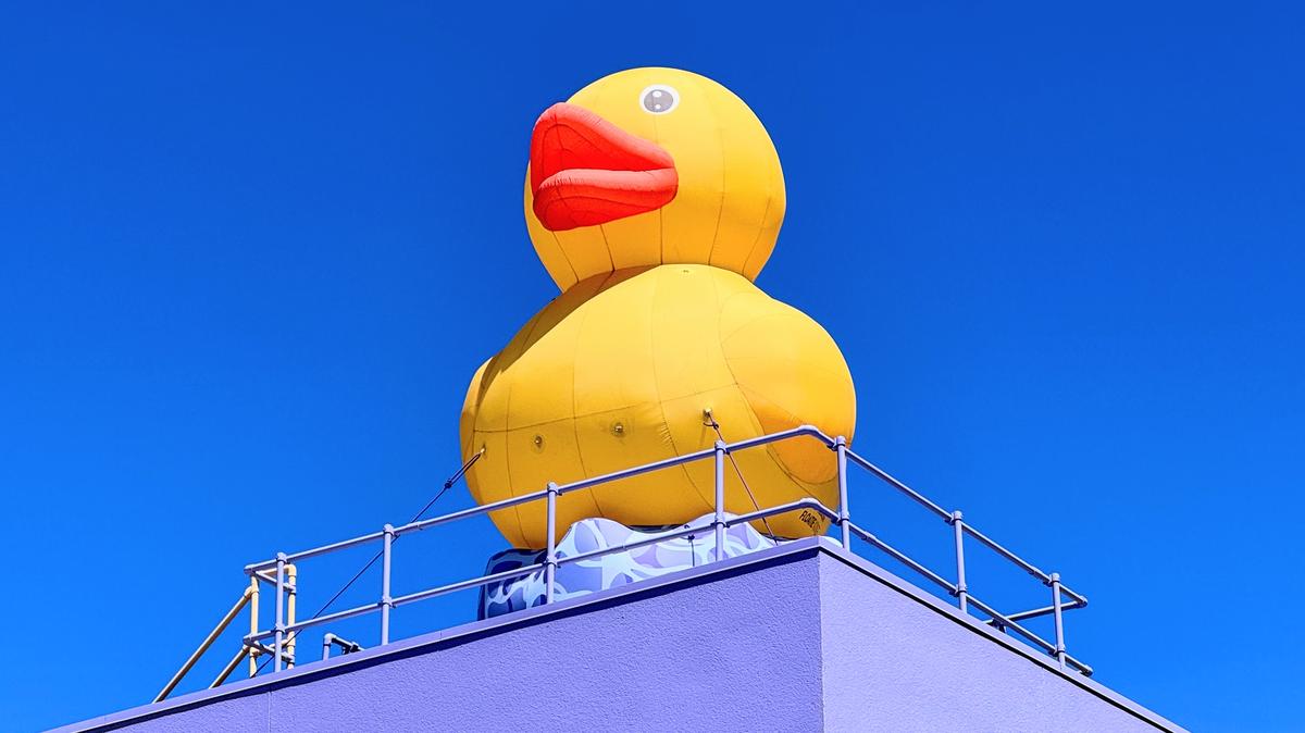 The new inflated duck on the roof the Children's Discovery Museum will be named, following a public vote, at an event to conclude the museum's yearlong 35th anniversary celebration on May 2, 2026. (Sal Pizarro/Bay Area News Group)