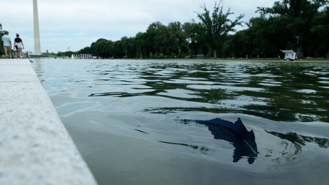 The paint is already peeling in Trump's renovated Washington Reflecting Pool 