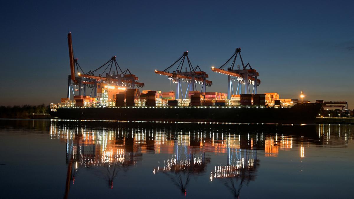 A container ship is seen at the loading terminal "Altenwerder" in the port of Hamburg, Germany, February 17, 2025. REUTERS/Fabian Bimmer