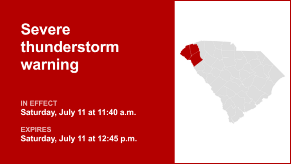 UPDATE: The current severe thunderstorm warning will expire at 12:45 p.m. 