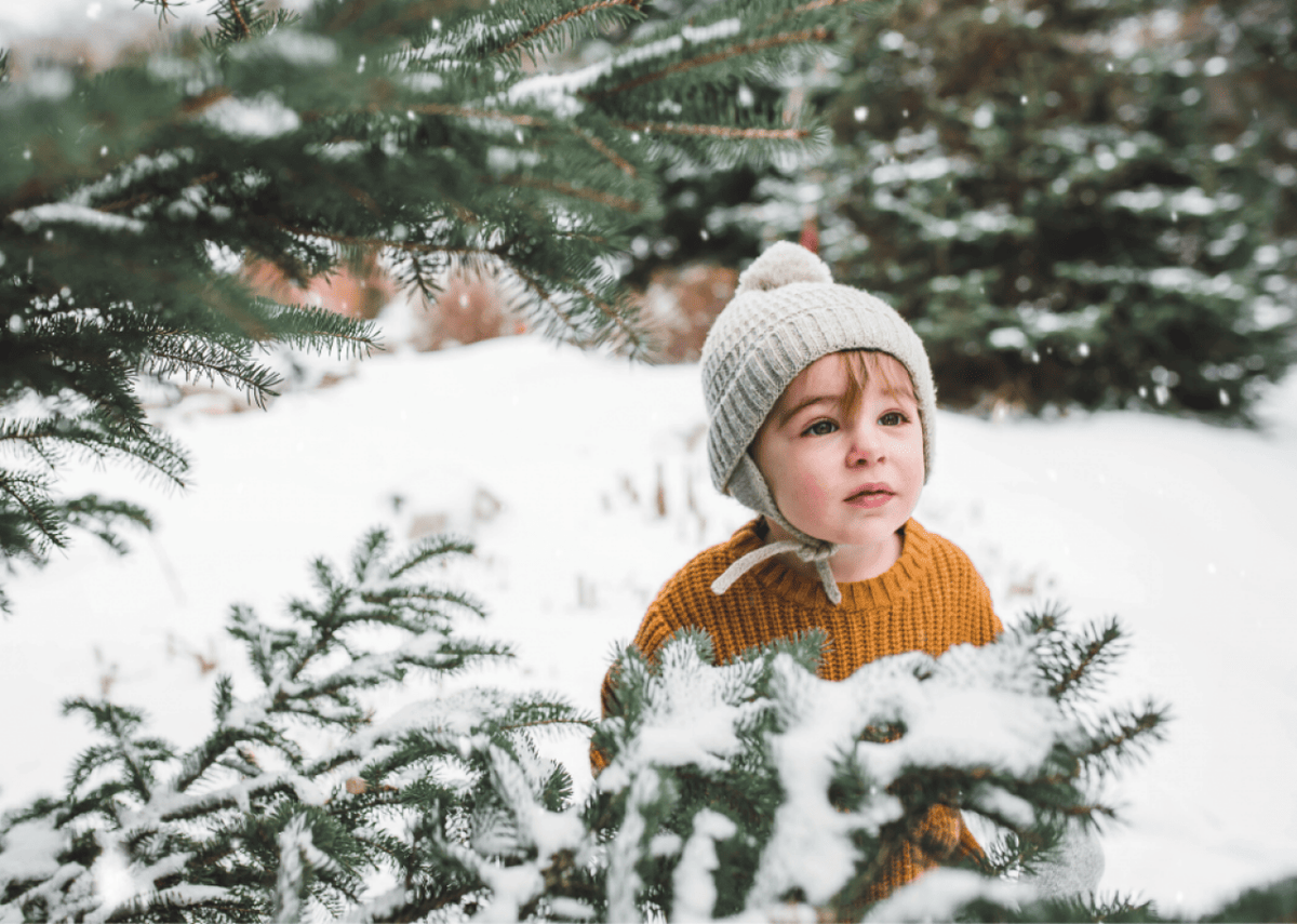  Samuel Borges Photography // Shutterstock 