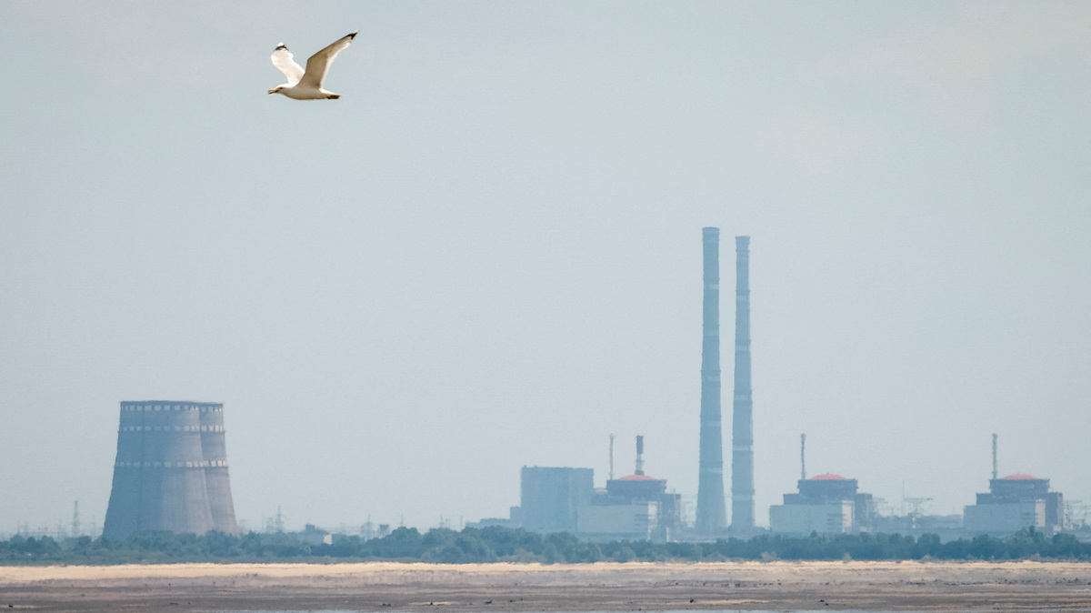 FILE PHOTO: A view shows Zaporizhzhia Nuclear Power Plant from the bank of Kakhovka Reservoir near the town of Nikopol after the Nova Kakhovka dam breached, amid Russia's attack on Ukraine, in Dnipropetrovsk region, Ukraine June 16, 2023. REUTERS/Alina Smutko/File Photo