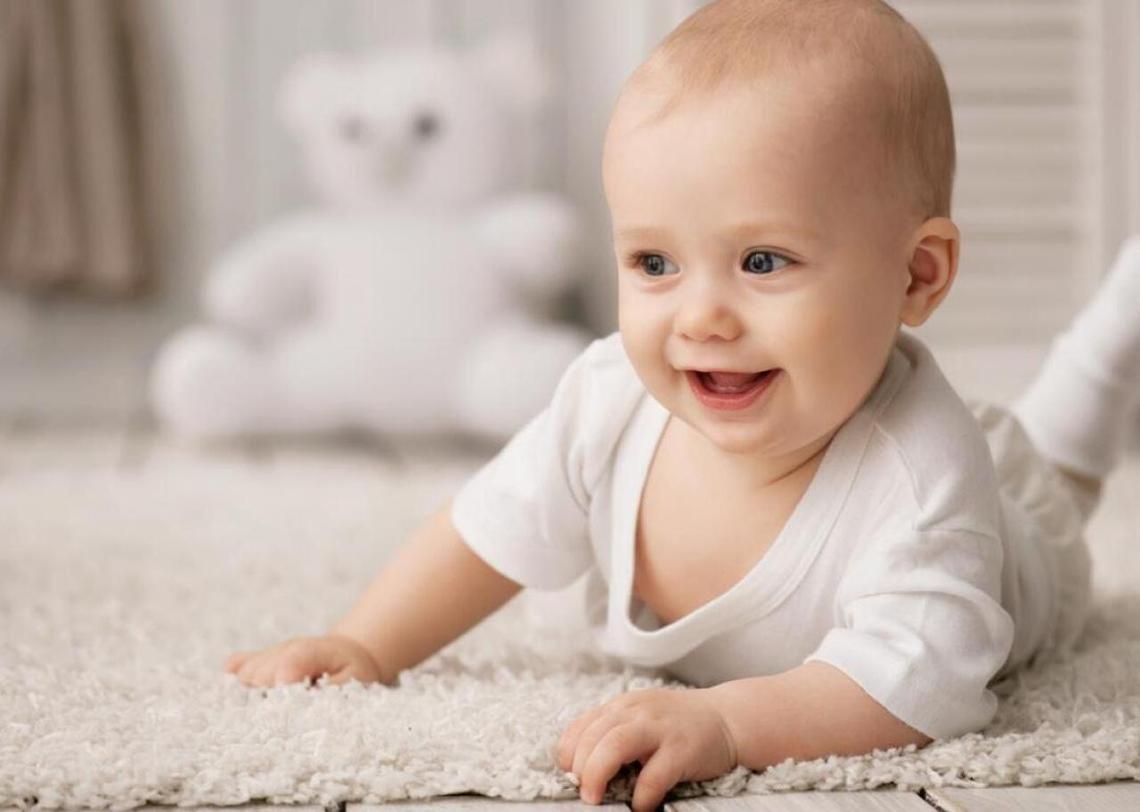  Vasilyev Alexandr // Shutterstock 