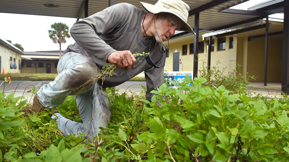Florida Tech and 'Little Growers' battle urban heat