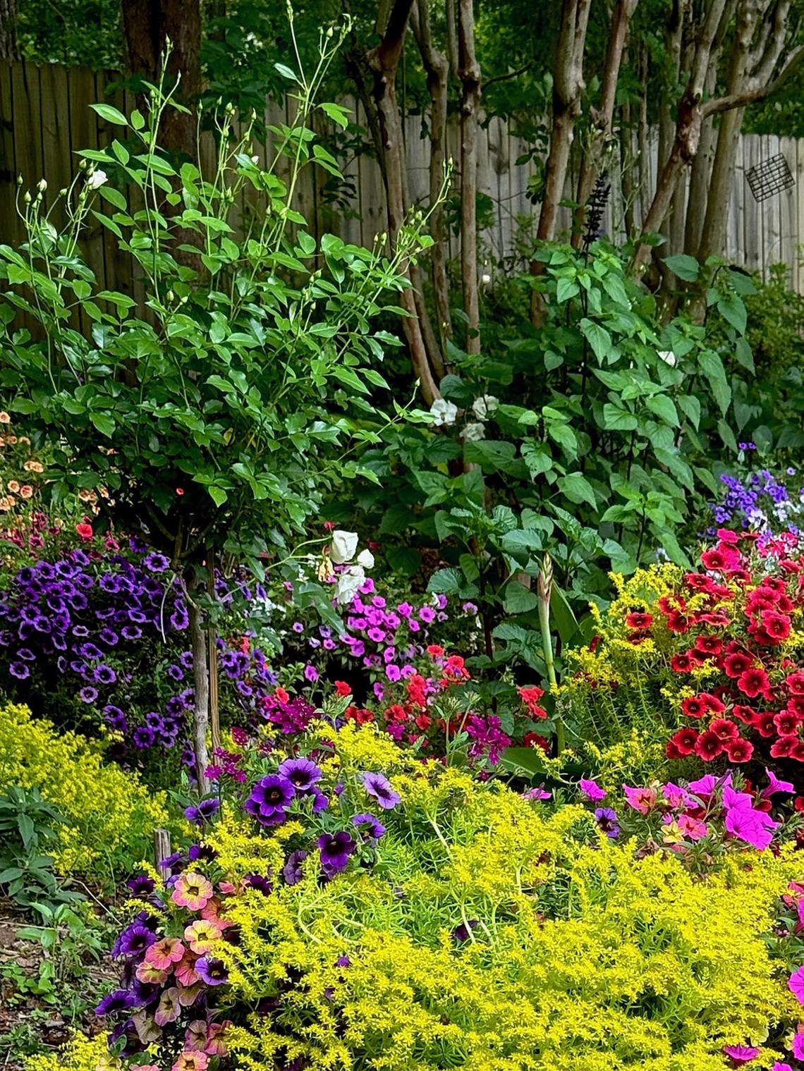 Norman Winter/Norman Winter/TNS