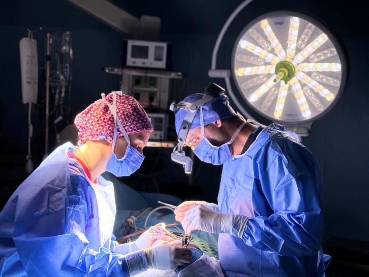  (Photo by Zeynep Özata via Pexels) 