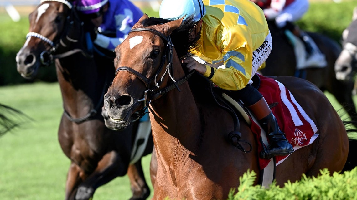 Evershed Steps Up In Waya; Flower Bowl May Be Next