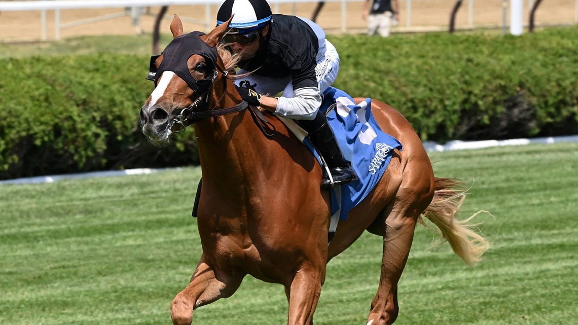 New York-Bred Howard's Hope Looks For First Stakes Win In Notebook 