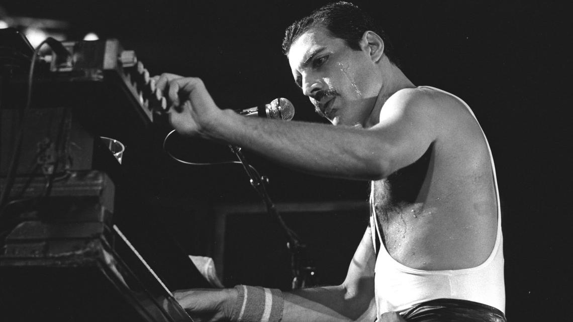 '70s Icon Freddie Mercury's Move on Beloved Actress Receives Clear Response 