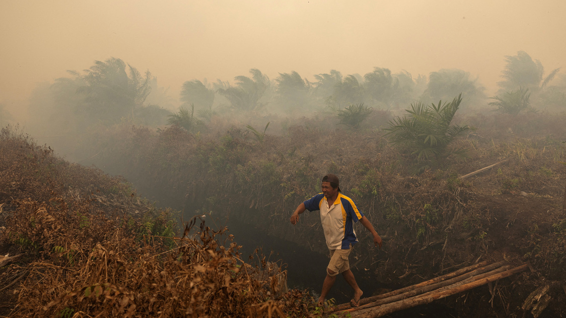Explainer-How severe are Indonesia's wildfires? 
