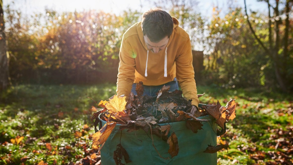 Don't Make This Common Fall Cleanup Mistake-Your Garden Will Thank You Come Spring 
