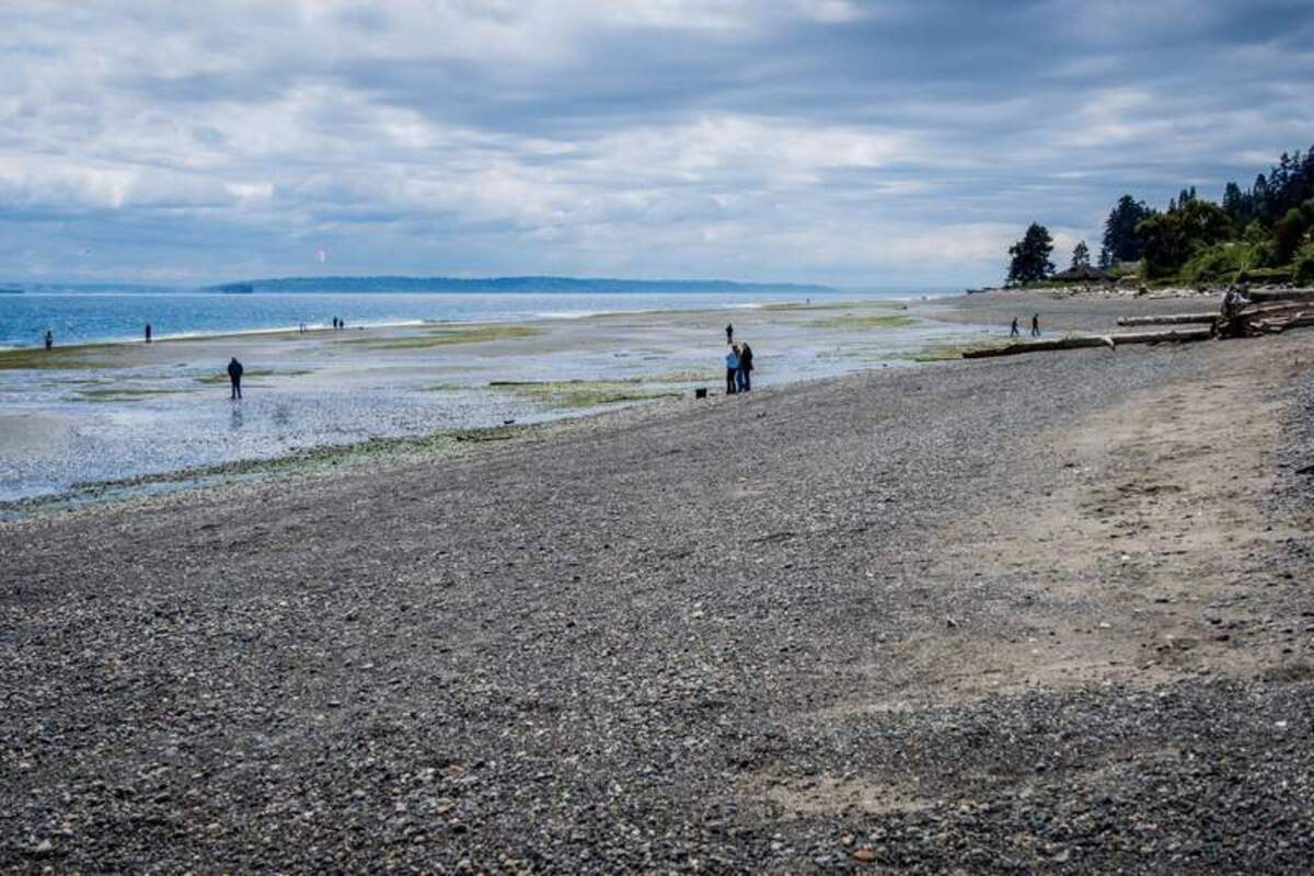  Driftwood lines the beautiful waterfront at this scenic park beach. Photo credit: June Russell-Chamberlin 