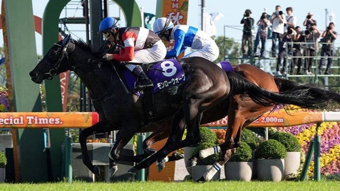 Monroe Walk Stays Unbeaten, Sets Record In Shuka Sho 