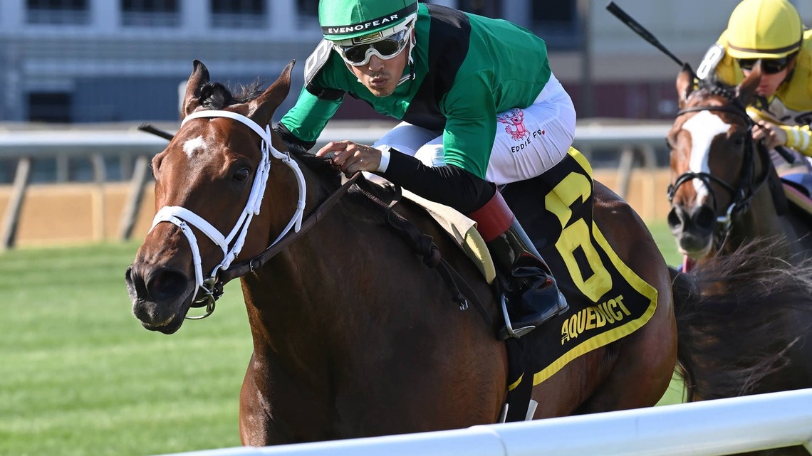 Highway Harmony Tackles Open Company In Floral Park Stakes 
