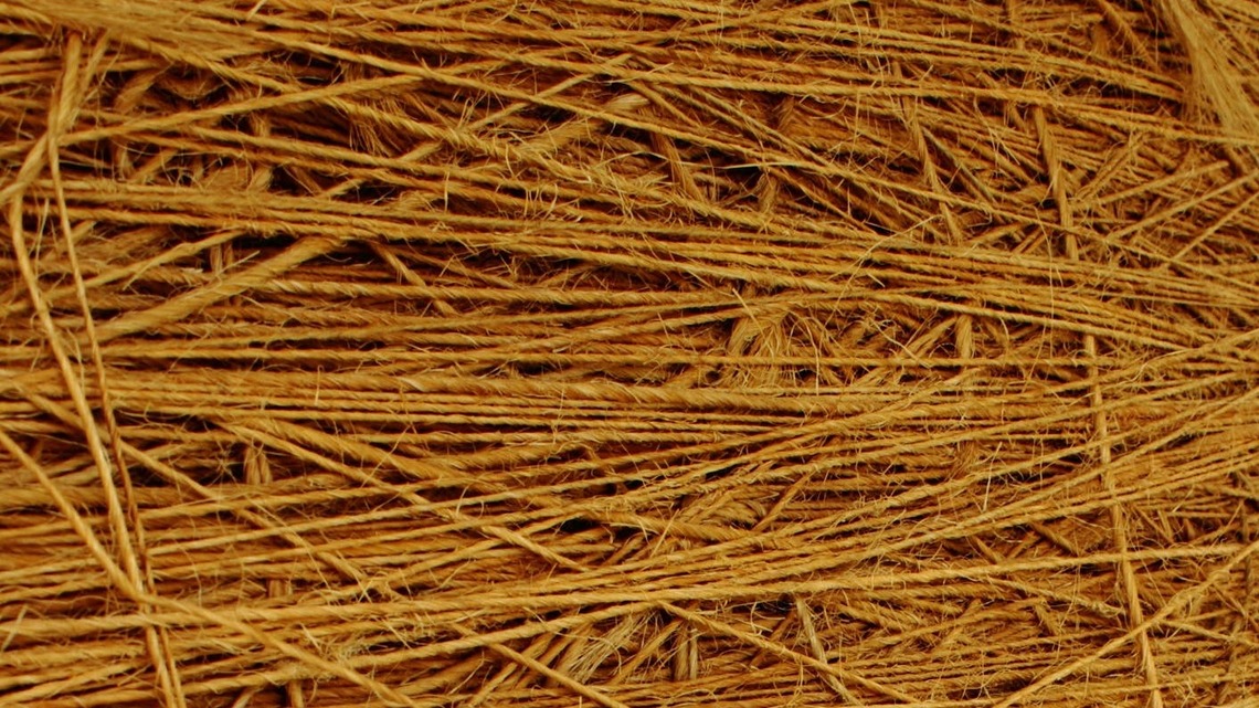 J.C. Payne rolled a 13-foot ball of twine from 1987 to 1991; in 1993, Ripley's reportedly bought it for $25,000 